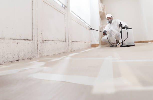 24/7 Emergency Mold Removal experts in Somerville, TX