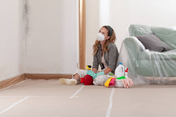 Reliable Mold Remediation contractor in Somerville, TX by Cheap Mold Removal